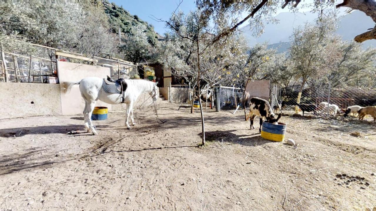 Ferme By Ikalimo Hotel Ourika Bagian luar foto