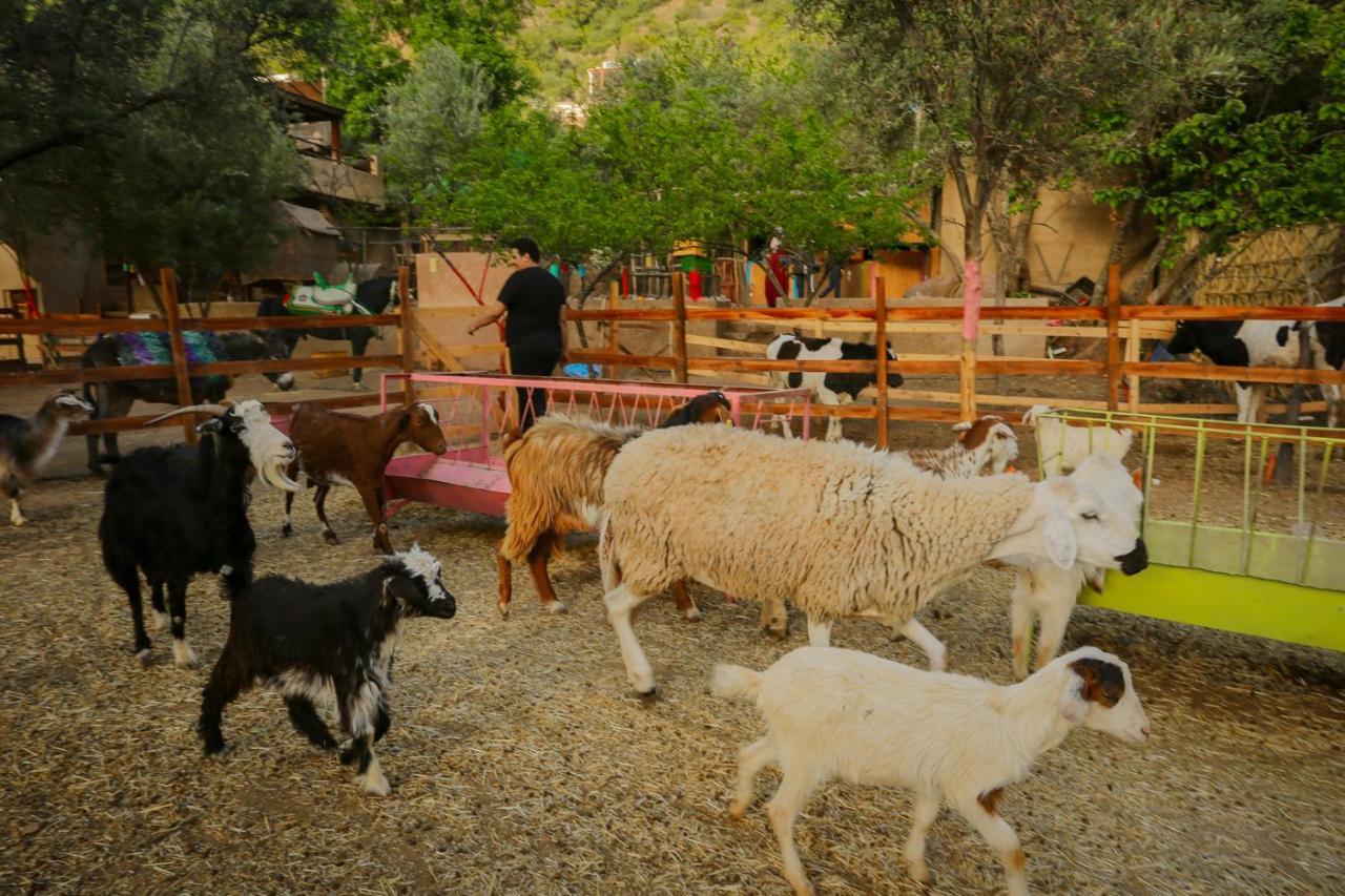 Ferme By Ikalimo Hotel Ourika Bagian luar foto